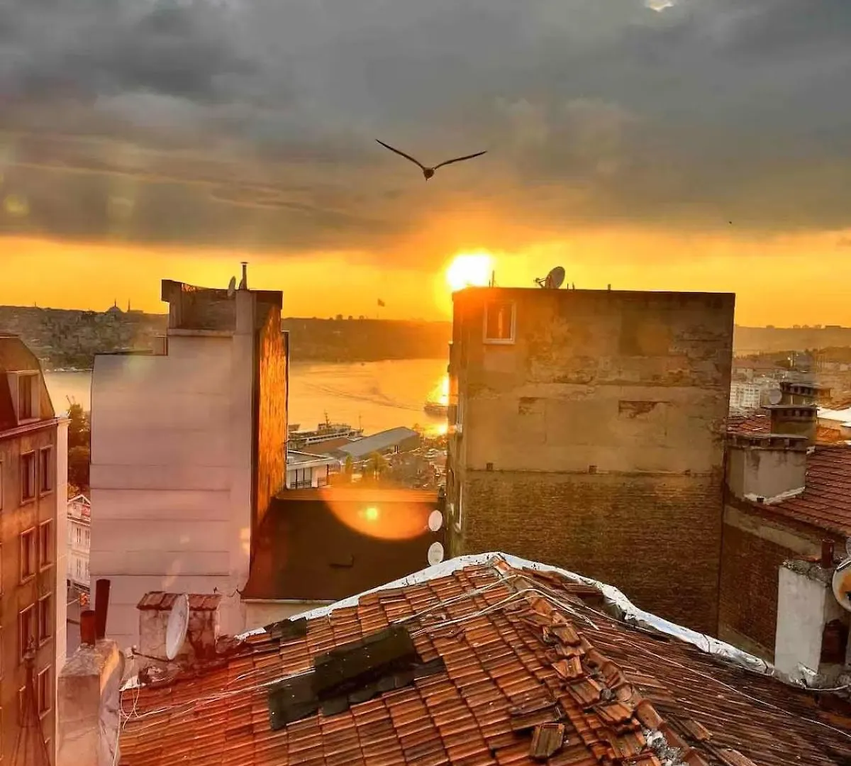 Golden Horn Hidden Haven Apartamento Istambul